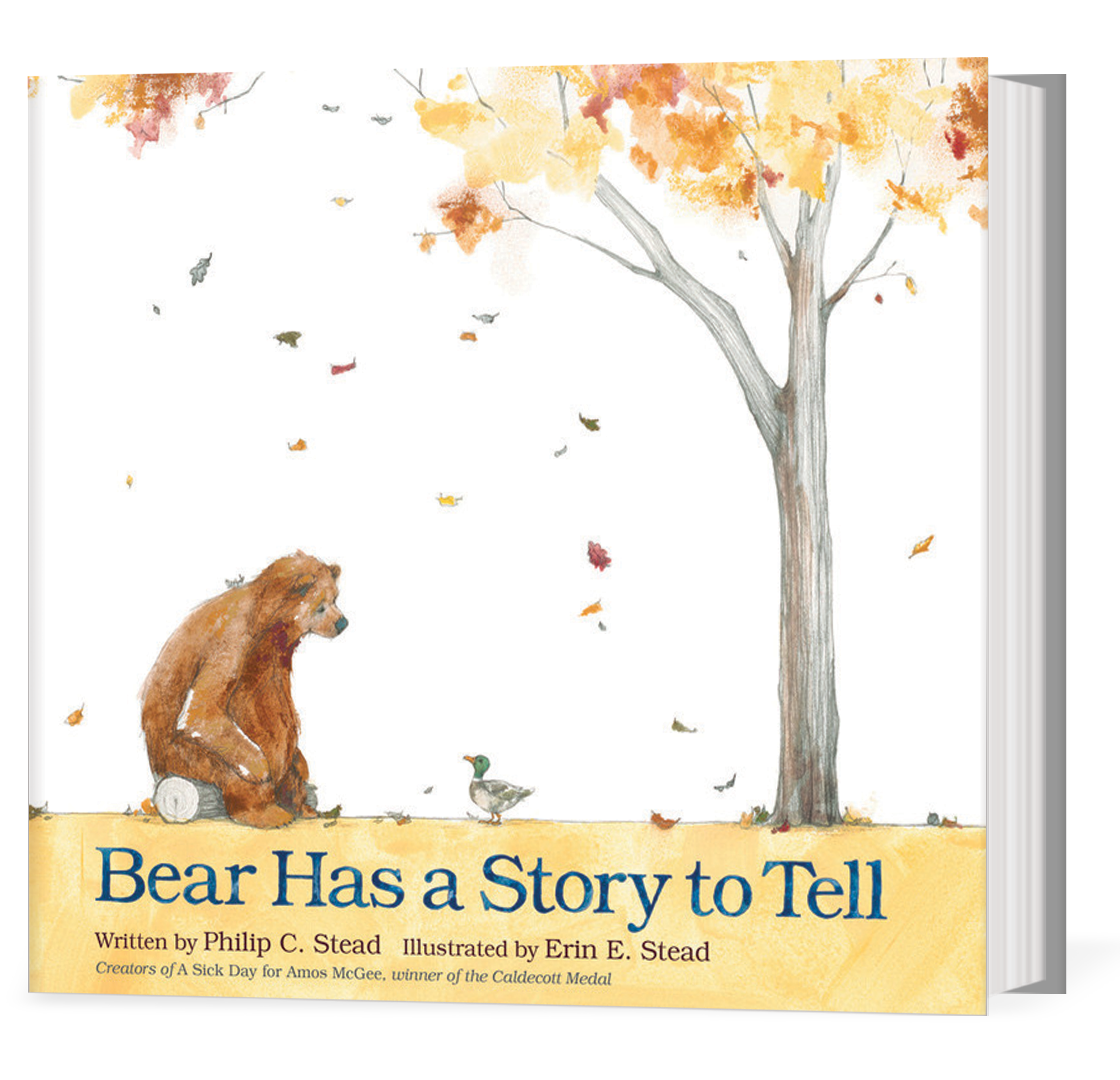 feature Bear Has a Story to Tell